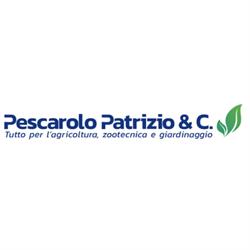 Patrizio Pescarolo