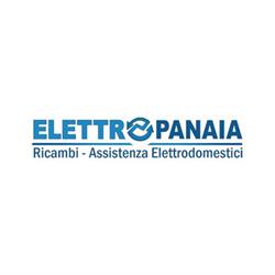 Elettropanaia