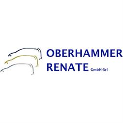 Oberhammer Renate Officina Carrozzeria - Autowerkstatt