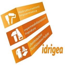 Idrigea