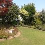 manutenzione irrigazione giardino
