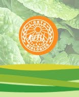 L'orto Biologico