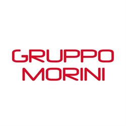 X Team SRL (Gruppo Morini)