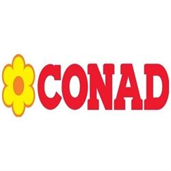 Conad City - Medolla
