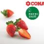 Conad Margherita San Giorgio a Cremano