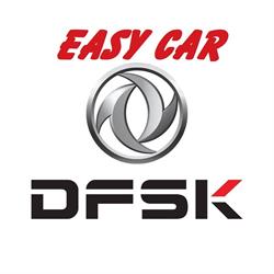 Easy Car SPA