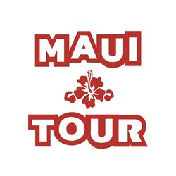 Easy Maui Tour