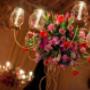Anniversary Party