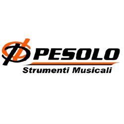 EXPERT - PESOLO S.R.L.