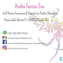 ARABA FENICE SNC DI D'AMICO E SEMPLICINI
