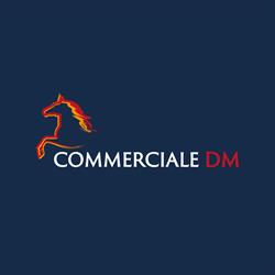 COMMERCIALE D.M. S.R.L.