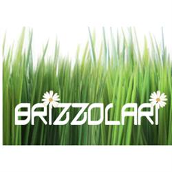Brizzolari