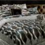 Roberto Cavalli Home