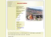 Sito di Galliani Duemila SRL