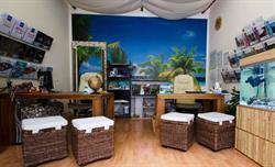 Hawaii Viaggi e Vacanze