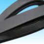 cinghia poly