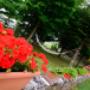 Esterno B&B