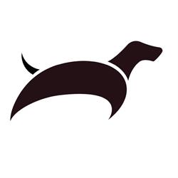 Cinomania di Emilio Gaggini