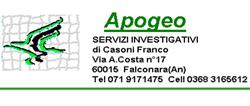 Agenzia Investigativa Apogeo