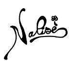 NALISE di F.G.