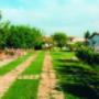 Aranceto b&b Siracusa esterni