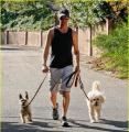 Servizio Walking DOG