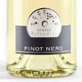Pinot Nero