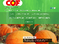 Sito di C.O.F. Costantini Orto Frutta