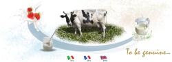 Compagnia Lattiero Casearia s.r.l.