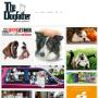 dogfather.it
