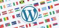 sito internet BASE MULTILINGUA