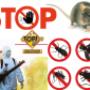 DISINFESTAZIONE