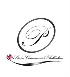 Studio Commerciale Palladino - CAF CGN