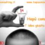 Hapù consulting l'idea giusta !