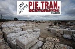 Pie.Tran