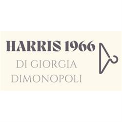 Harris 1966 di Giorgia Dimonopoli
