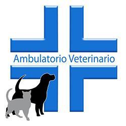 Ambulatorio Veterinario Spontini