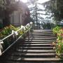Villa Crocioni - scala con ortensie