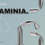 FLAMINIA