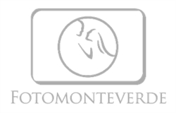Fotomonteverde