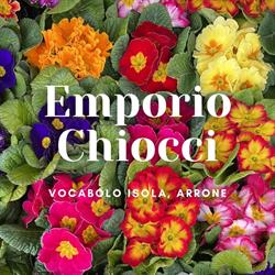 L Emporio Di Francesco Chiocci