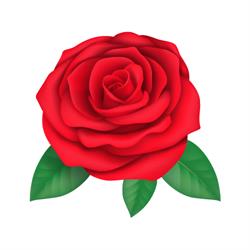 Casa Di Riposo Le Terrazze di Rosy