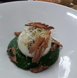 CIBUS _ Ristorante