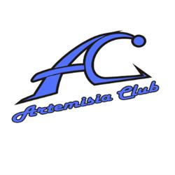 Palestra Artemisia Club