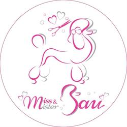 Miss & Mister Bau Toelettatura Conegliano