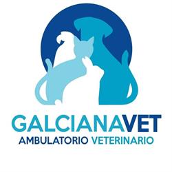 Ambulatorio Veterinario Galciana