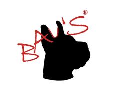 Bau s