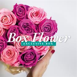 L'Eleganza Dei Fiori