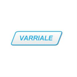 Renato Varriale e C.