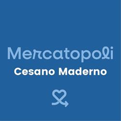Mercatopoli Cesano Maderno